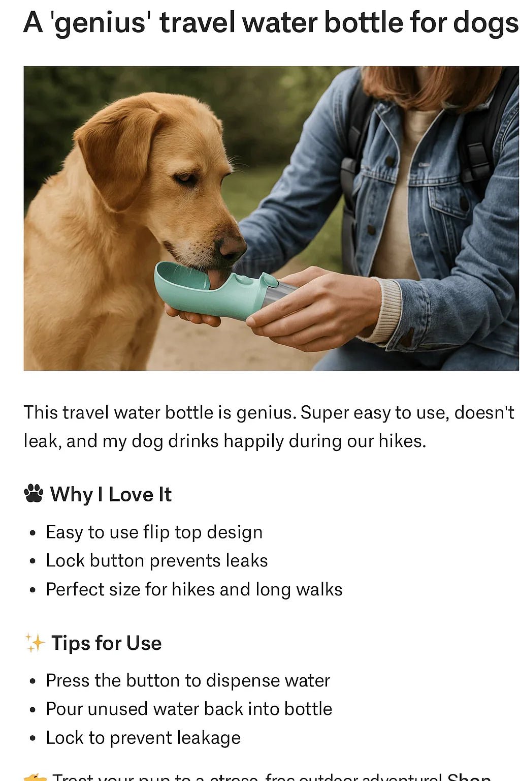 How a Travel Water Bottle Made Hiking with My Dog So Much Easier - Pawport