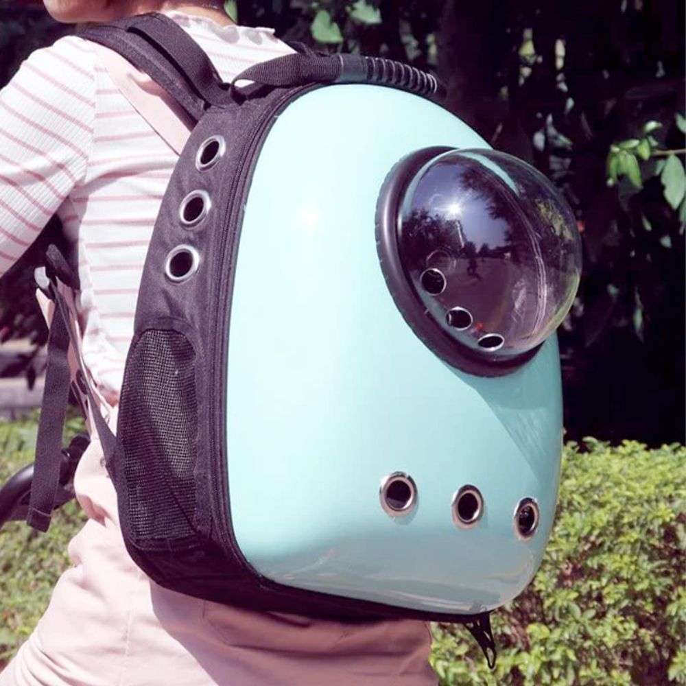 Pet Hardshell Traveling Backpack by Yellow Pandora | Buy at Pawport