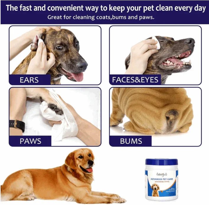 Pet Wipes with free cotton swabs by Tan Cress | Buy at Pawport