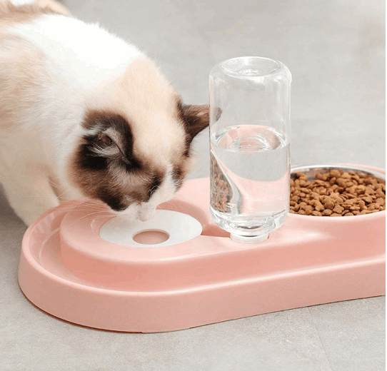 Stainless Steel Pet Bowls with Automatic Water Bottle by Tan Cress | Buy at Pawport