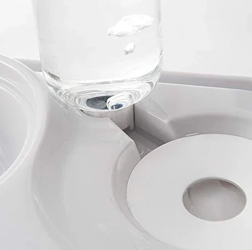 Stainless Steel Pet Bowls with Automatic Water Bottle by Tan Cress | Buy at Pawport