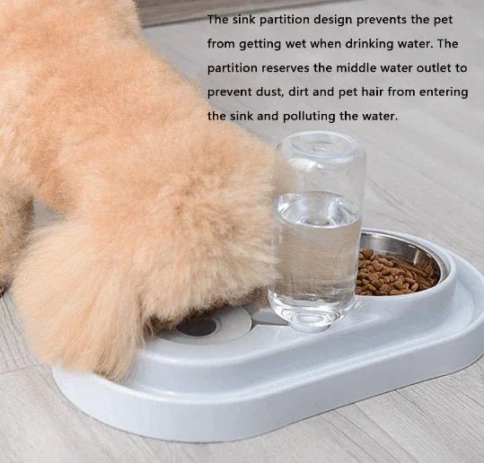 Stainless Steel Pet Bowls with Automatic Water Bottle by Tan Cress | Buy at Pawport