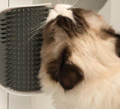Cat Corner Groomer by Scarlet Coco | Buy at Pawport