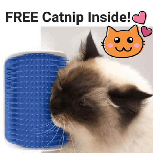 Cat Corner Groomer by Scarlet Coco | Buy at Pawport