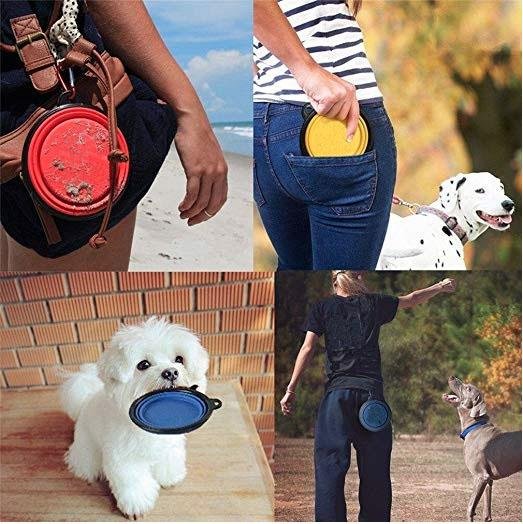 Collapsible Dog Bowls by Tan Cress | Buy at Pawport