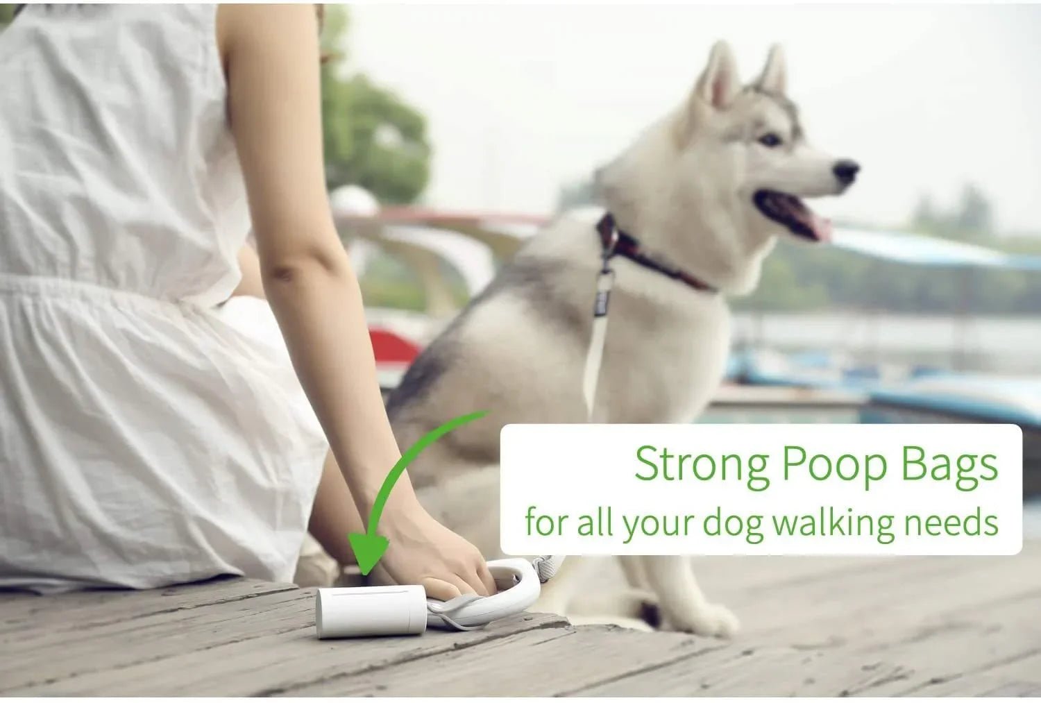 Instachew PETKIT Waste Bag Dispenser by Sky Blue Arachne | Buy at Pawport