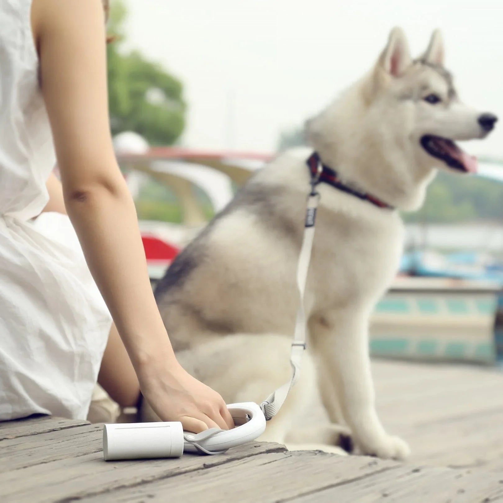 Instachew PETKIT Waste Bag Dispenser by Sky Blue Arachne | Buy at Pawport