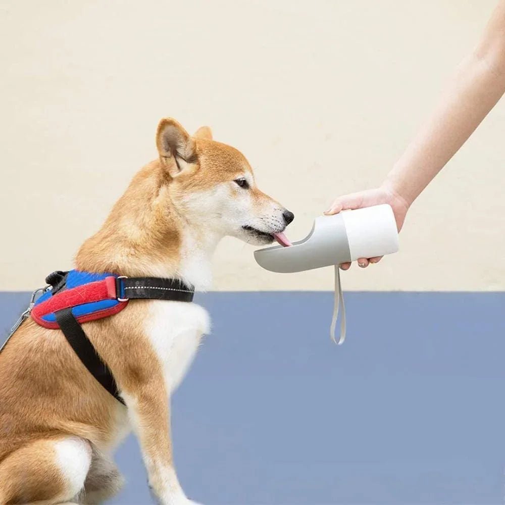 Instachew Rover Pet Travel Bottle, Dog water bottle by Sky Blue Arachne | Buy at Pawport
