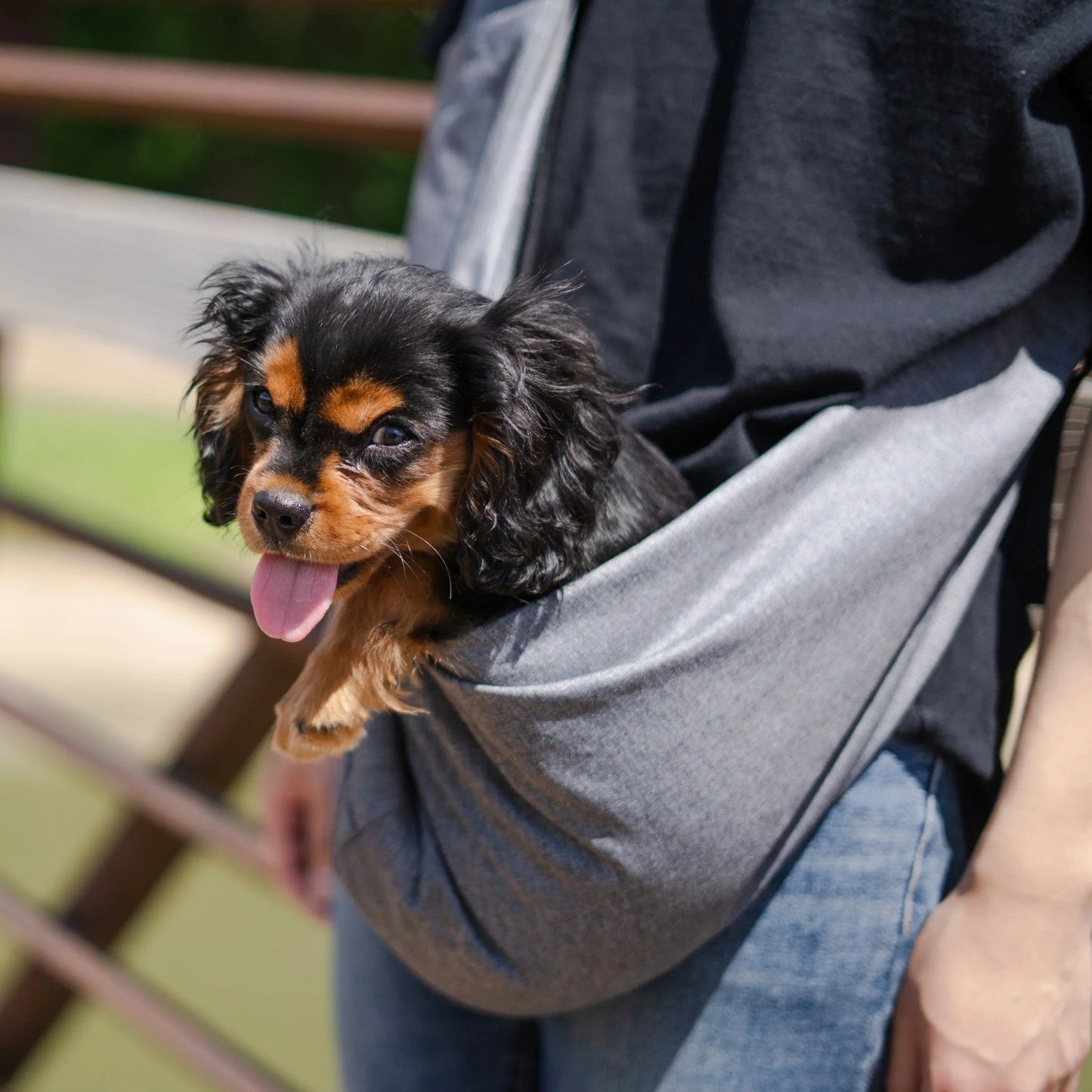Lof Mesh Pet Sling Bag - Comfortable & Hands - Free Travel for Small by Emerald Alfie | Buy at Pawport