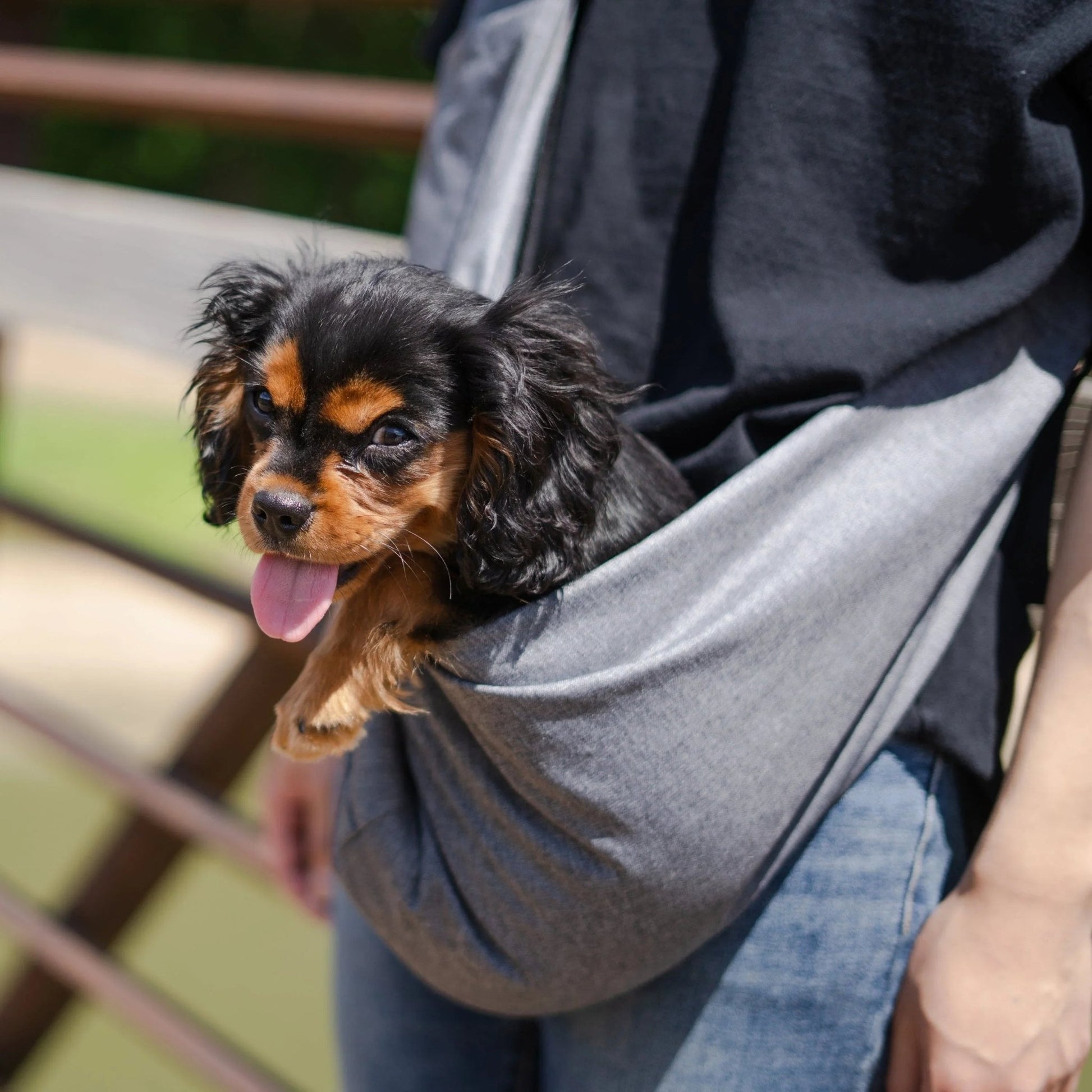 Lof Mesh Pet Sling Bag - Comfortable & Hands - Free Travel for Small by Emerald Alfie | Buy at Pawport