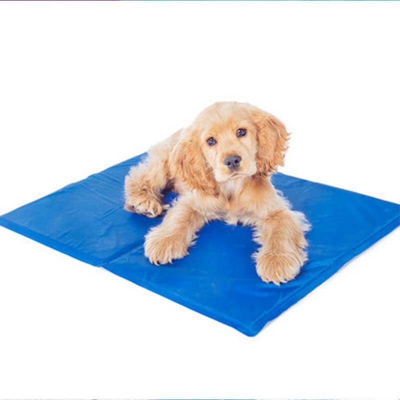 Pet Cooling Mats by Tan Cress | Buy at Pawport
