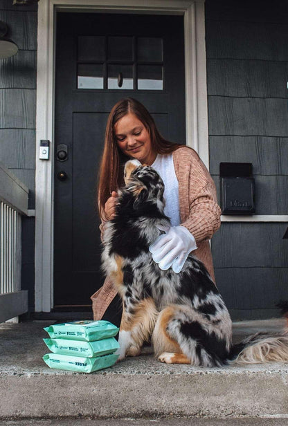 Pet Glove Wipes by Scarlet Max | Buy at Pawport