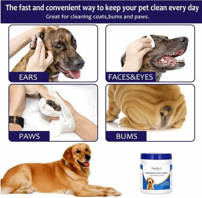 Pet Wipes with free cotton swabs by Tan Cress | Buy at Pawport