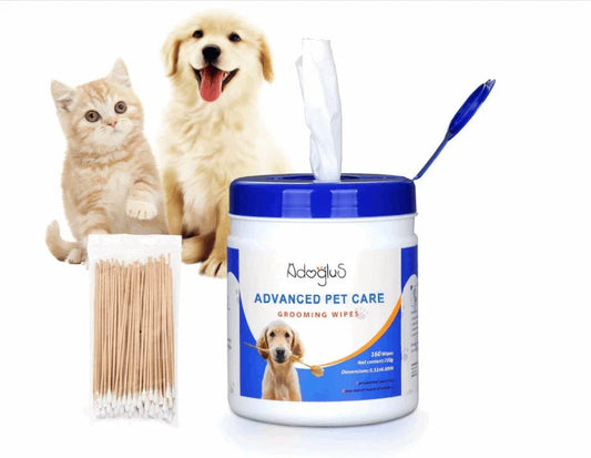 Pet Wipes with free cotton swabs by Tan Cress | Buy at Pawport