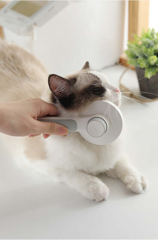 Round Handle Pet Passage Comb by Crimson Medea | Buy at Pawport