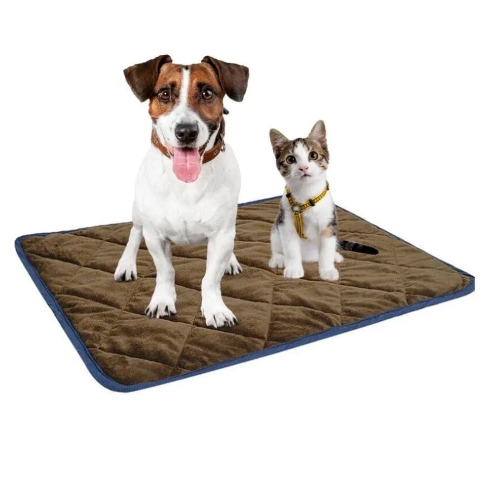 Self Heating Thermal Mattress Bed for Dogs and Cats by Yellow Pandora | Buy at Pawport