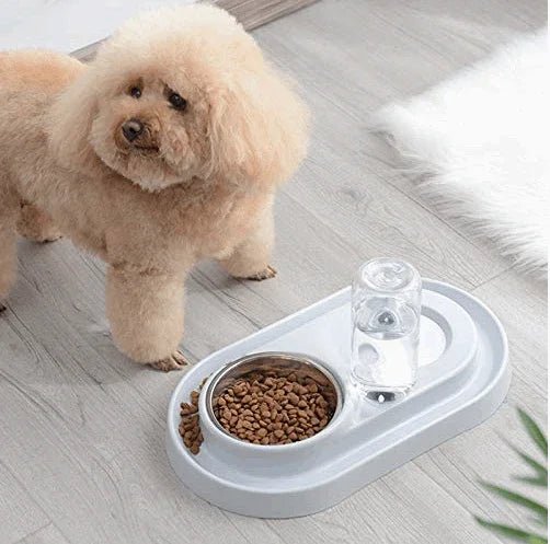 Stainless Steel Pet Bowls with Automatic Water Bottle by Tan Cress | Buy at Pawport