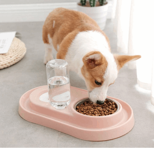 Stainless Steel Pet Bowls with Automatic Water Bottle by Tan Cress | Buy at Pawport