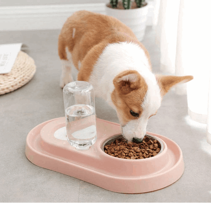 Stainless Steel Pet Bowls with Automatic Water Bottle by Tan Cress | Buy at Pawport